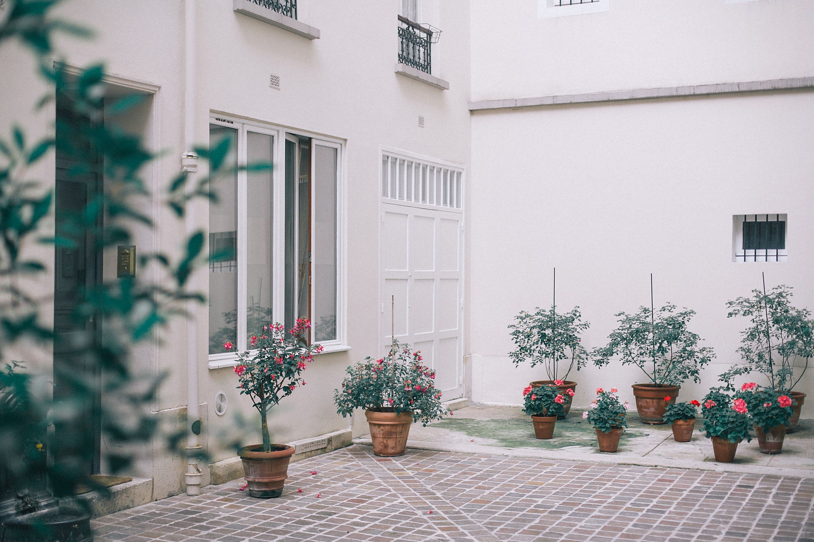 Stucco