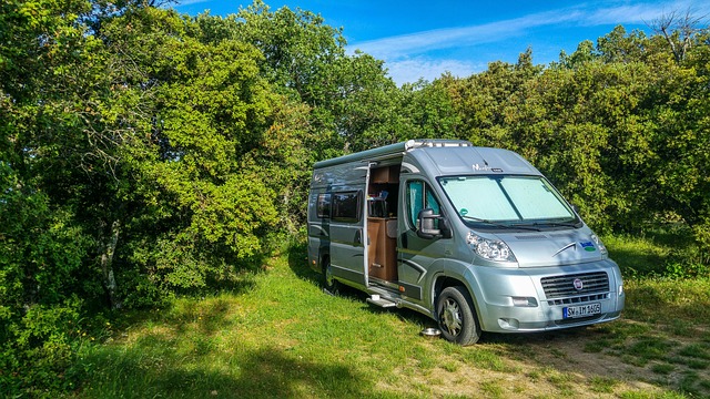 Van Camper