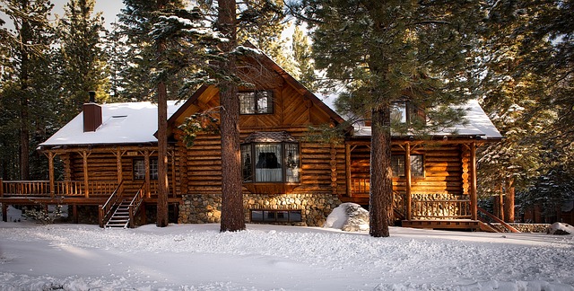 Cabin